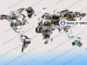 Shuliy company