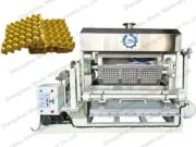 egg tray former machine