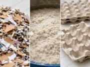 egg tray machine production process