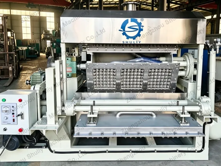 How To Choose Right Egg Tray Machine For Your Production? 4 Egg tray making machine
